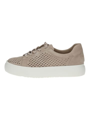 Caprice Sneaker in Sand