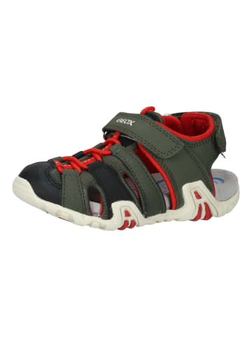 Geox Sandalen Dunkelgrün