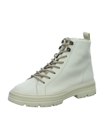 Paul Green Schnürstiefeletten in Beige