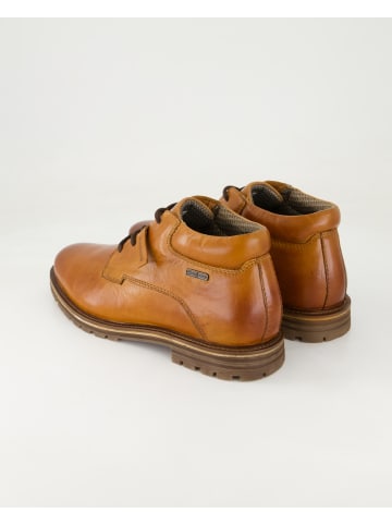 SALAMANDER Stiefeletten in Braun
