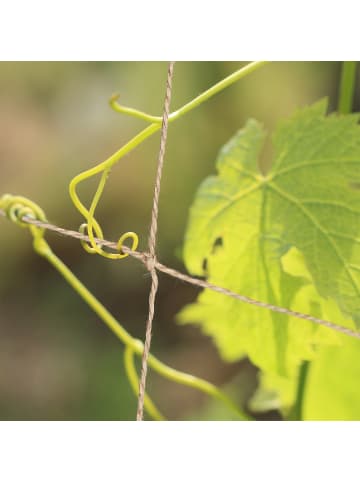 Ranknetz in Natur - 2 x 5 m