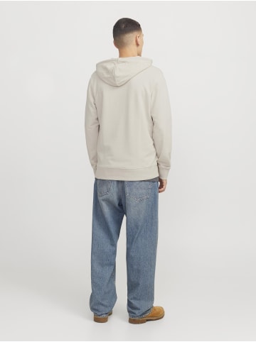 Jack & Jones Kapuzenpullover in Moonbeam