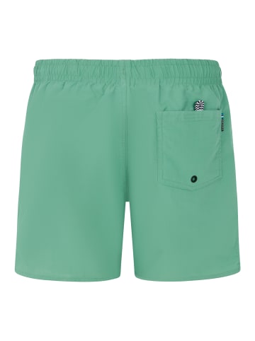 Protest " CULTURE JR in Cactus Green