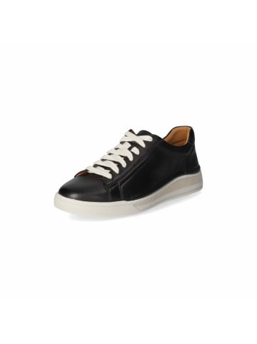 Josef Seibel Schnürhalbschuh in schwarz