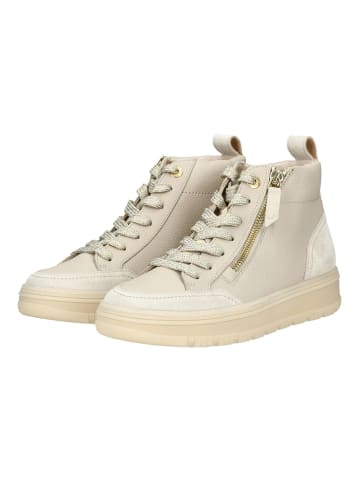Paul Green Sneaker in Ivory