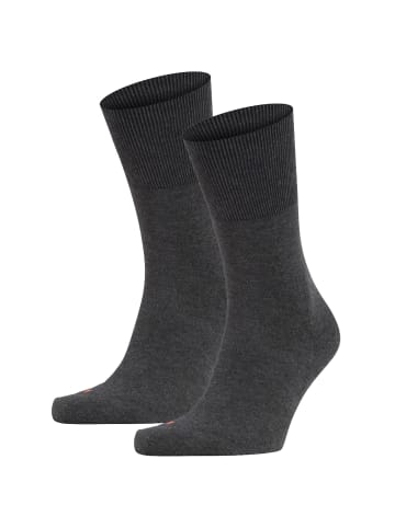 Falke Socken 2er Pack in Dunkelgrau