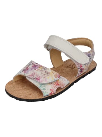 KOEL Sandalen ASHLEY FANTASY in bunt