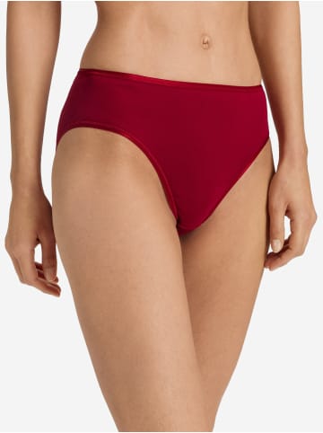 Hanro Midislip Cotton Seamless in red dahlia