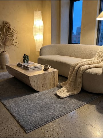 KADIMA DESIGN Teppich Kurzflor Waschbar Einfarbig MAIN Strapazierfähig OEKO-TEX in Hellgrau