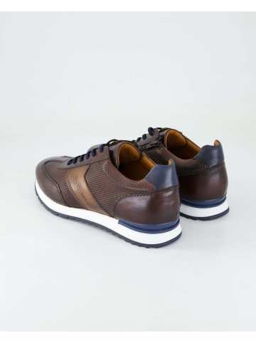 SALAMANDER Sneaker low in Braun