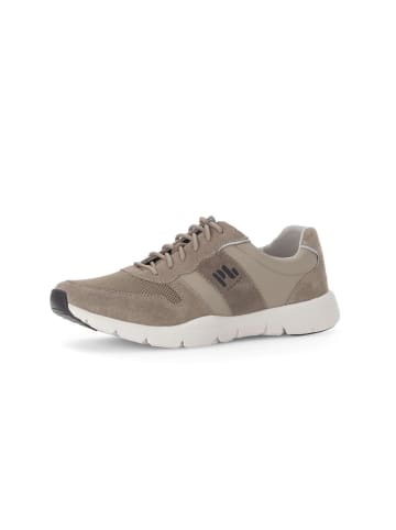 Pius Gabor Sneaker low in beige