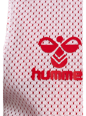 Hummel T-Shirt Hmlcore Kinder in TRUE RED/WHITE