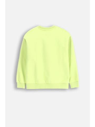 Coccodrillo Sweatshirt in limonengrün