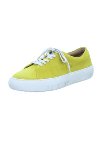 Fly London Sneaker Tych in yellow