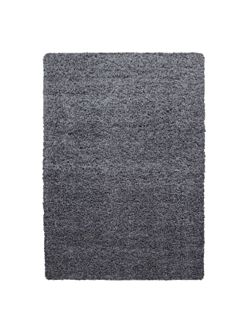 KADIMA DESIGN Teppich Hochflor Unifarben Polypropylen Wohnzimmer Shaggy in Grau