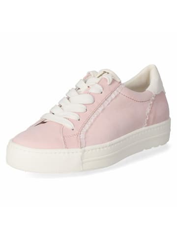 Paul Green Schnürhalbschuh in pink