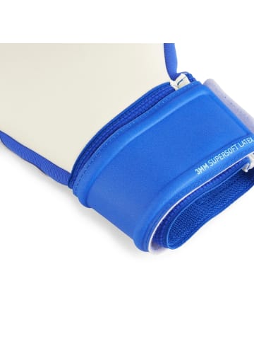 Puma Torwarthandschuh "Future Match NC" in Blau