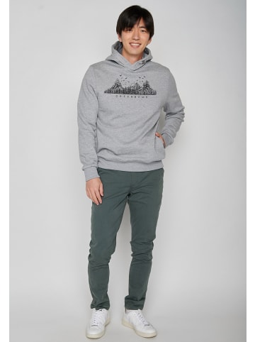 GreenBomb Star Nature Mountain Logo in Heidekraut Grau