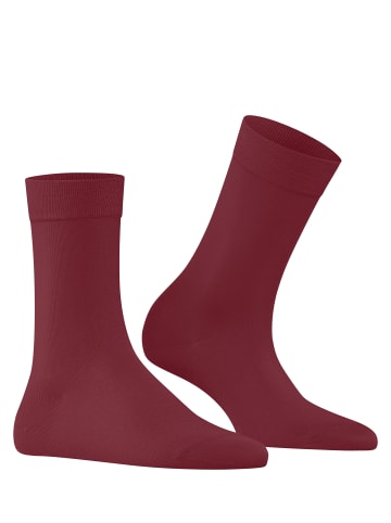 Falke Cotton Touch Socke in Ruby