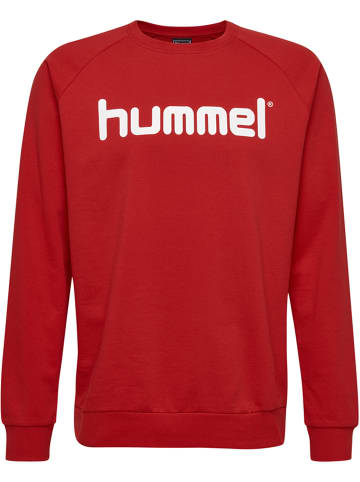 Hummel Hummel Sweatshirt Raglanärmel Hmlgo Herren in TRUE RED