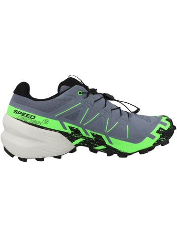 SALOMON Laufschuhe Speedcross 6 GTX in hellgrau