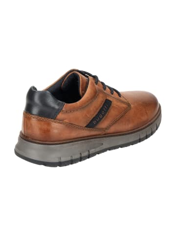 Bugatti Klassische Schnürschuhe in Braun