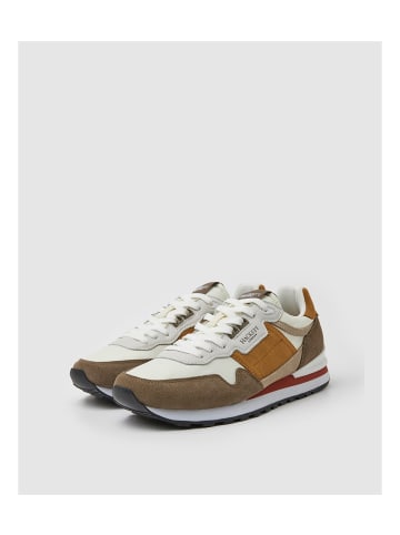 Hackett London Sneakers Telfor in bunt