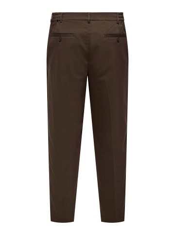 Chino Hose in Demitasse 1