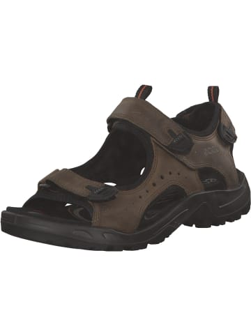 Ecco Klassische Sandalen in Brown