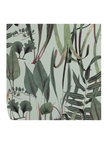 WALLPAPERS4BEGINNERS Tapete Botanische in Grün - (W) 200 × (L) 280 cm