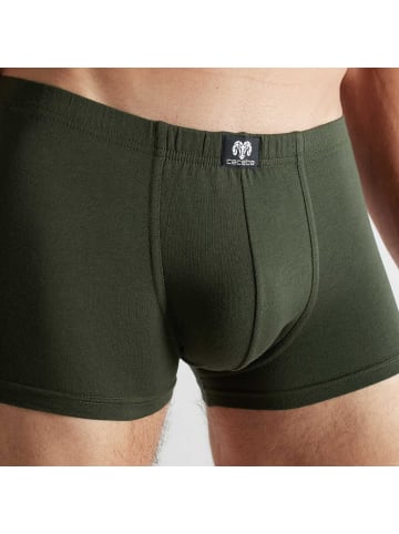 CECEBA Baumwolle, Single-Jersey Bio Pants 2er-Pack in grün/schwarz