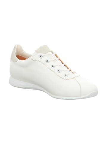 Think! Sneakers Low ALOA in Bianco/Kombi