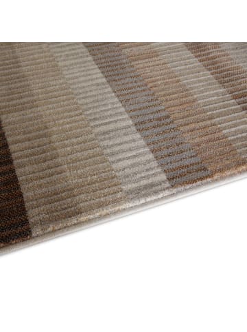 Tara Carpet Vintageteppich Argo Stripes in Grau