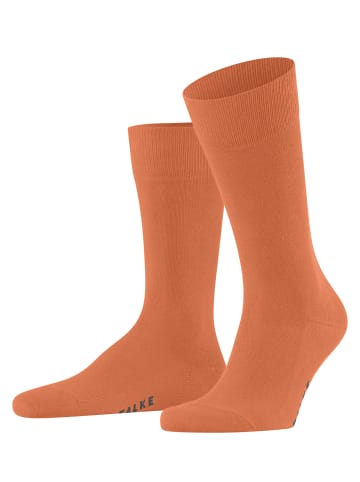 Falke Socken Family in Tandoori