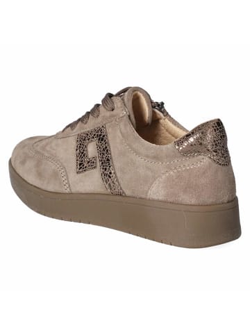 Beliana orthopädischer Schnürhalbschuh in grey