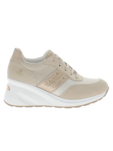 Armata di Mare Sneaker AMDS61H15-LTBEIGE-GOLD Beige