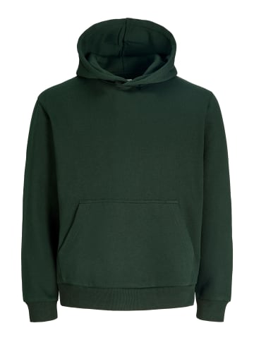 JACK & JONES Junior Kapuzenpullover in Scarab
