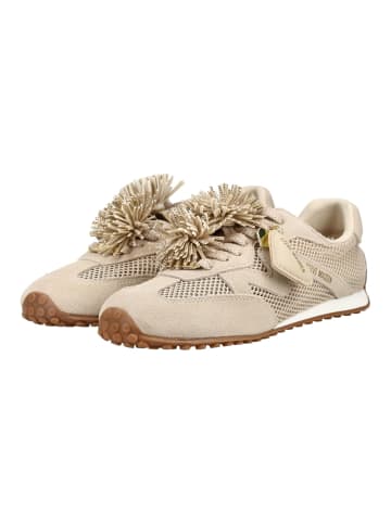 Steve Madden Sneaker in Sand