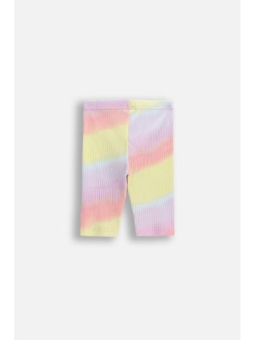 Coccodrillo Kurze Leggings in bunt