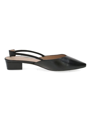 PETER KAISER Pumps in Schwarz