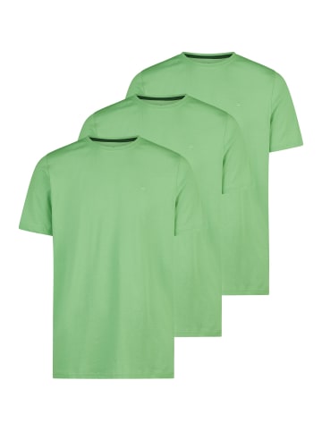 Redmond T-Shirt Basic in Hellgrün