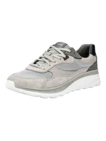 Geox Sneaker in Hellgrau