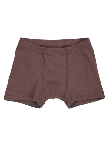 JAM Generation 2er-Pack Boxer in French Roast