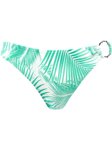 Barts W PALMSY CHEEKY BUM in Grün