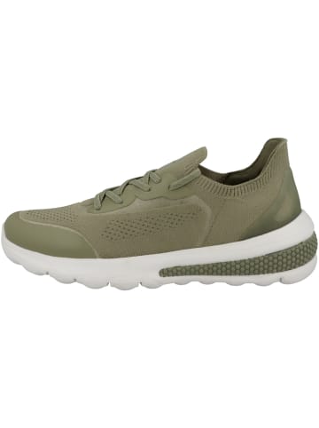 Geox Sneaker low D Spherica Actif A in gruen