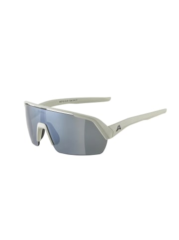 Alpina Sportbrille Turbo HR in Cool-Grey Matt