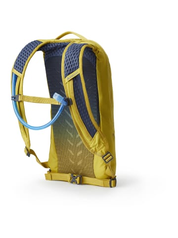 Gregory W PACE 6 H2O in Gelb