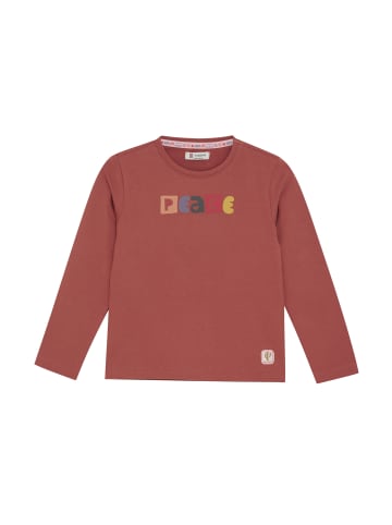 Noppies Langarmshirt Philo in Tandoori Spice