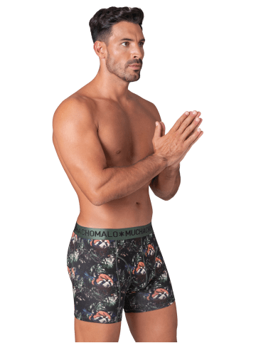 Muchachomalo 2er-Set: Boxershort in Mehrfarbig - für Herren