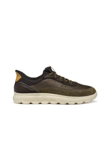 Geox Sneackers U in Military/Coffee
